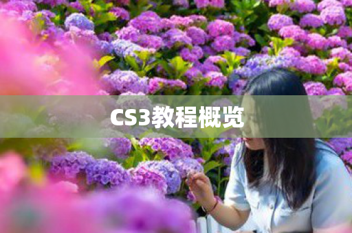 CS3教程概览