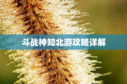 斗战神知北游攻略详解