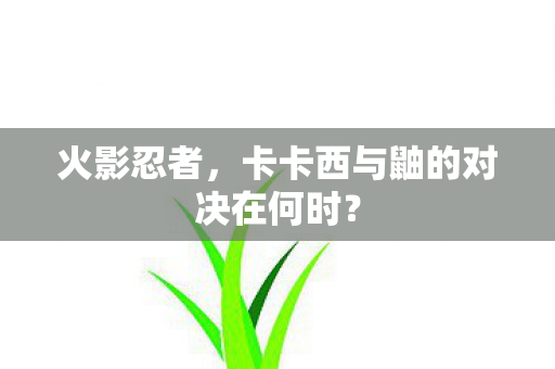 火影忍者，卡卡西与鼬的对决在何时？