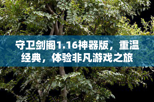 守卫剑阁1.16神器版，重温经典，体验非凡游戏之旅