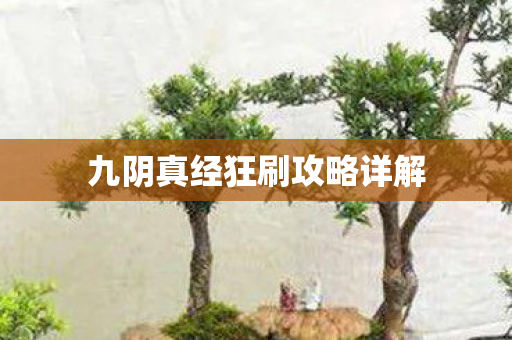 九阴真经狂刷攻略详解