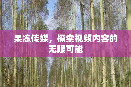 果冻传媒，探索视频内容的无限可能