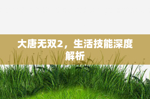 大唐无双2，生活技能深度解析