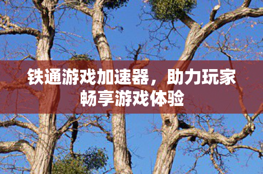 铁通游戏加速器，助力玩家畅享游戏体验