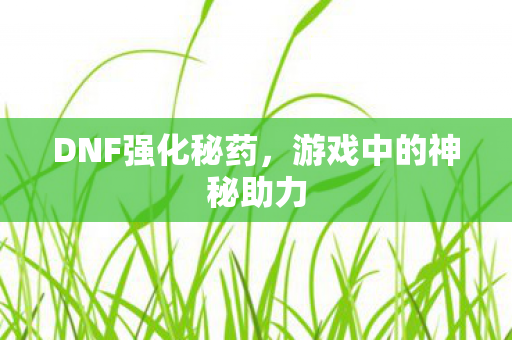 DNF强化秘药，游戏中的神秘助力