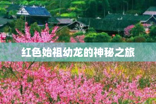 红色始祖幼龙的神秘之旅