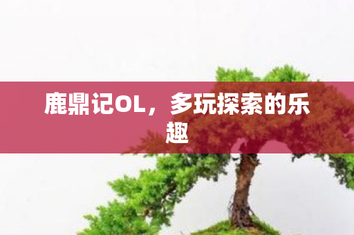 鹿鼎记OL，多玩探索的乐趣