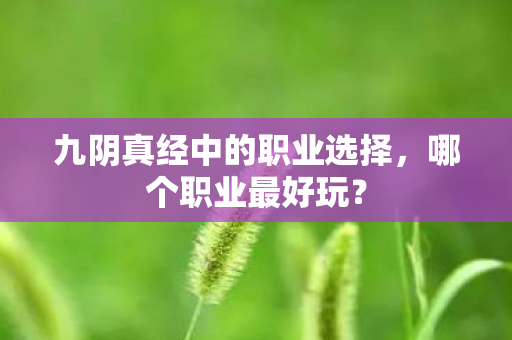 九阴真经中的职业选择，哪个职业最好玩？