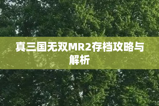 真三国无双MR2存档攻略与解析