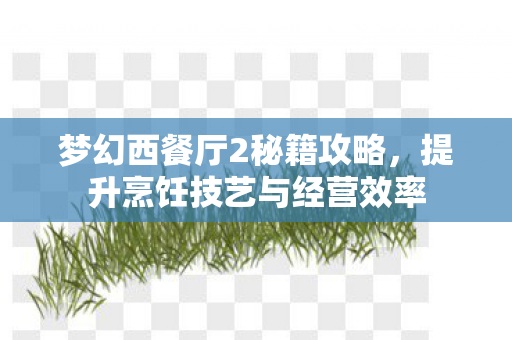 梦幻西餐厅2秘籍攻略，提升烹饪技艺与经营效率