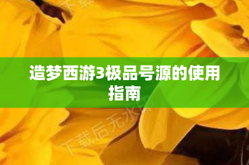 造梦西游3极品号源的使用指南