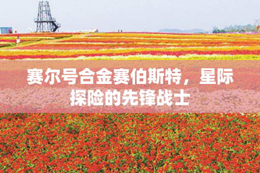 赛尔号合金赛伯斯特，星际探险的先锋战士