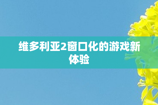 维多利亚2窗口化的游戏新体验