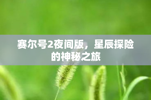 赛尔号2夜间版，星辰探险的神秘之旅