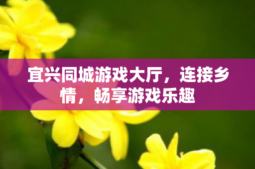 宜兴同城游戏大厅，连接乡情，畅享游戏乐趣
