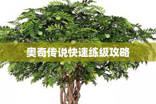 奥奇传说快速练级攻略