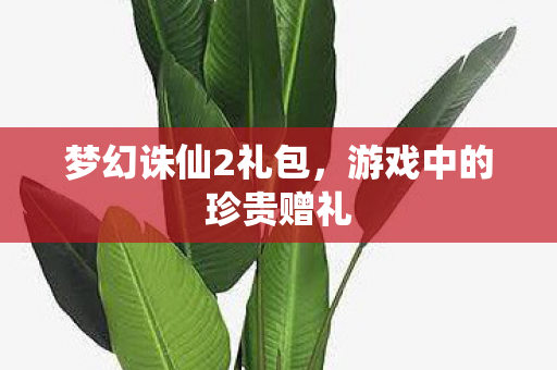梦幻诛仙2礼包，游戏中的珍贵赠礼