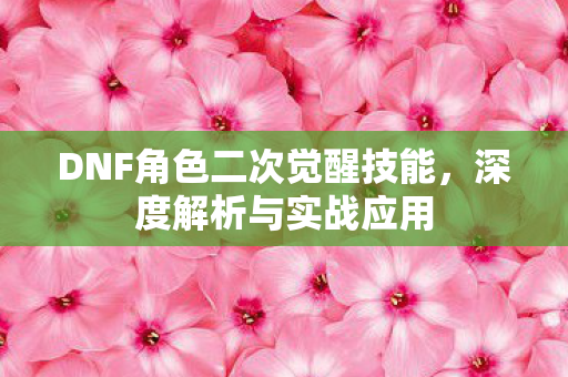 DNF角色二次觉醒技能，深度解析与实战应用