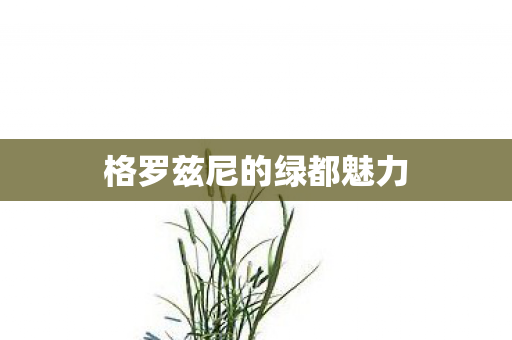 格罗兹尼的绿都魅力