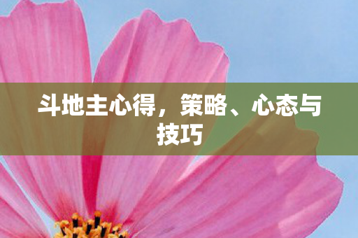 斗地主心得，策略、心态与技巧