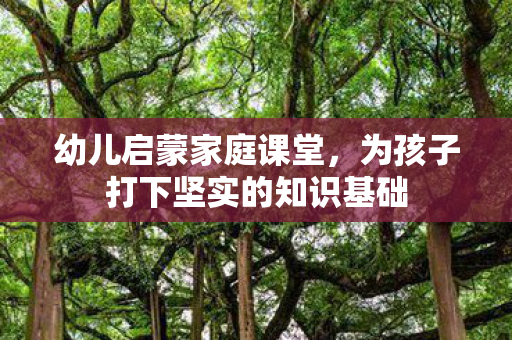 幼儿启蒙家庭课堂,为孩子打下坚实的知识基础