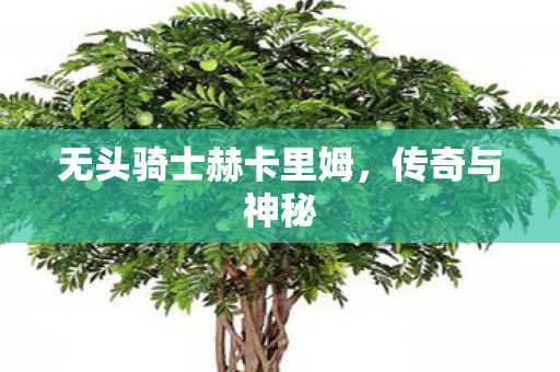 无头骑士赫卡里姆，传奇与神秘