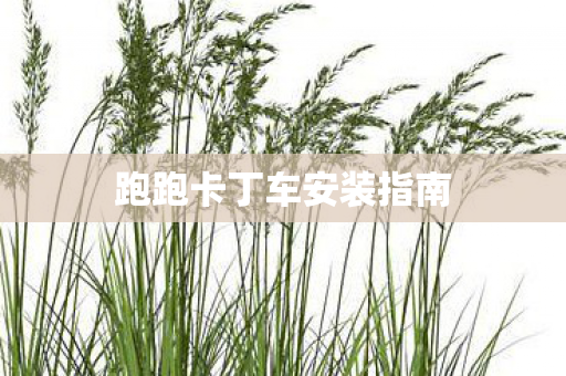 跑跑卡丁车安装指南
