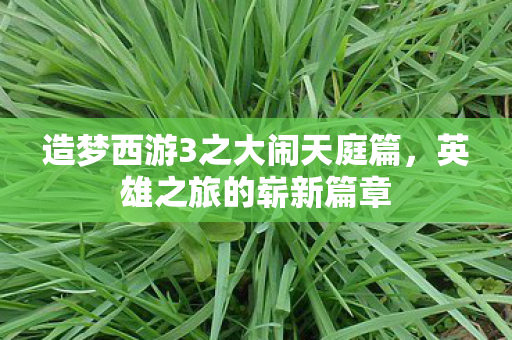 造梦西游3之大闹天庭篇，英雄之旅的崭新篇章