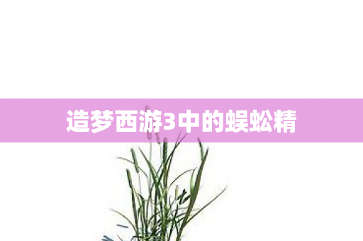 造梦西游3中的蜈蚣精