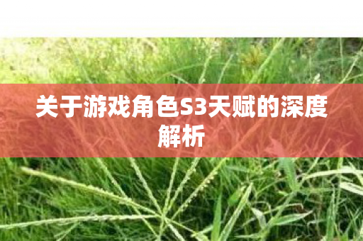 关于游戏角色S3天赋的深度解析