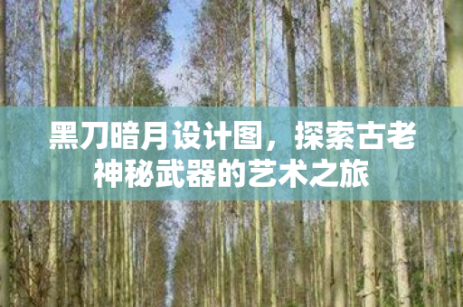 黑刀暗月设计图，探索古老神秘武器的艺术之旅