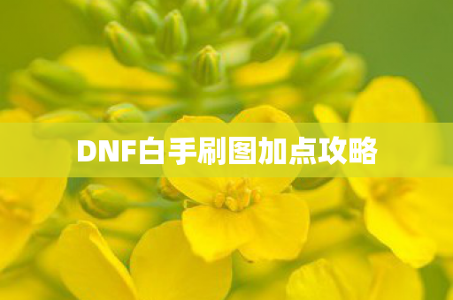 DNF白手刷图加点攻略