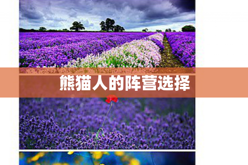 熊猫人的阵营选择