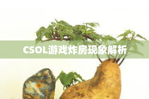 CSOL游戏炸房现象解析