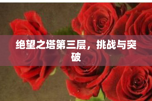 绝望之塔第三层，挑战与突破