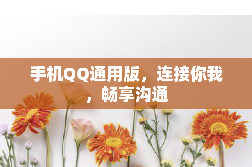 手机QQ通用版，连接你我，畅享沟通