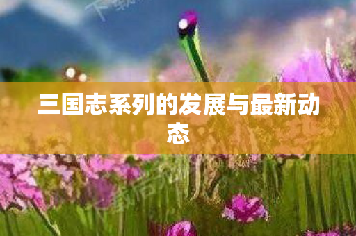 三国志系列的发展与最新动态