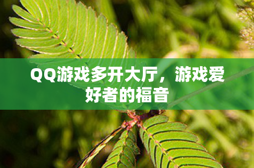 QQ游戏多开大厅，游戏爱好者的福音