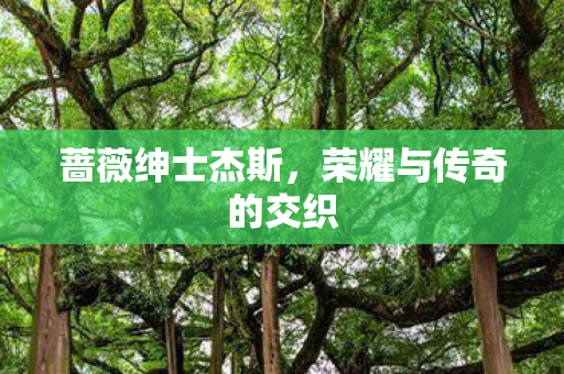 蔷薇绅士杰斯，荣耀与传奇的交织