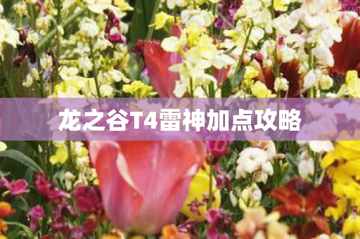 龙之谷T4雷神加点攻略