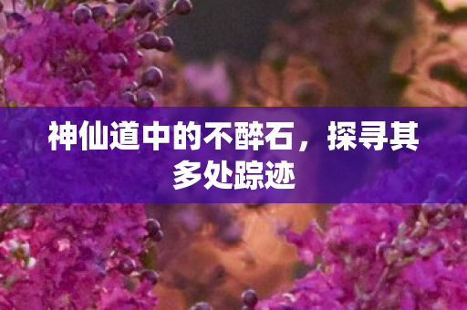 神仙道中的不醉石，探寻其多处踪迹