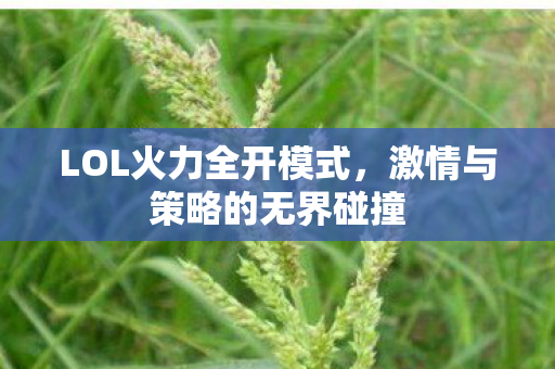 LOL火力全开模式，激情与策略的无界碰撞