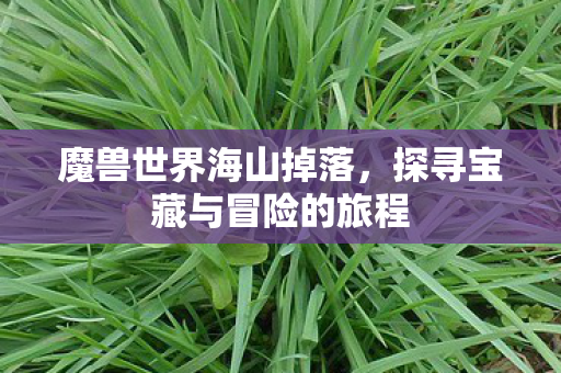 魔兽世界海山掉落，探寻宝藏与冒险的旅程