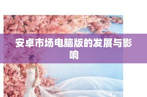 安卓市场电脑版的发展与影响