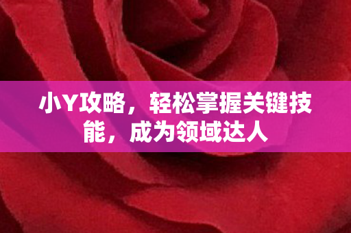 小Y攻略，轻松掌握关键技能，成为领域达人
