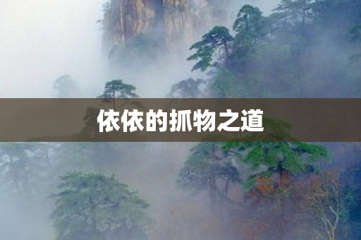 依依的抓物之道