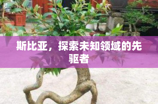 斯比亚，探索未知领域的先驱者