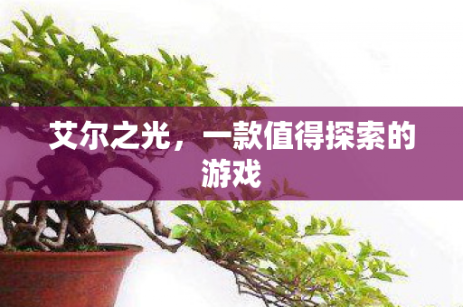 艾尔之光，一款值得探索的游戏