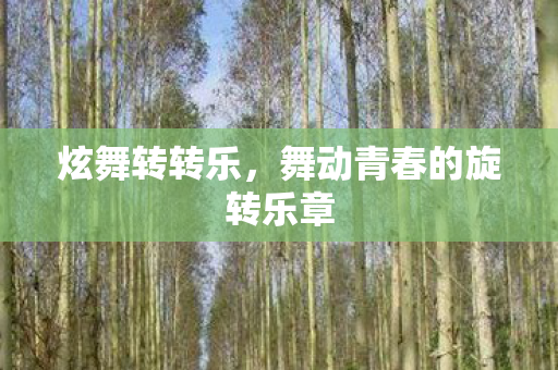 炫舞转转乐，舞动青春的旋转乐章