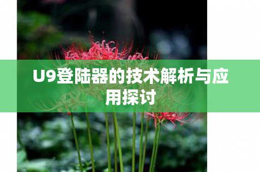 U9登陆器的技术解析与应用探讨